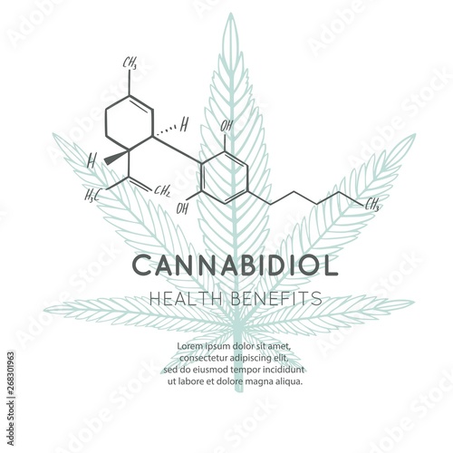 Vector background, banner, poster with CBD formula. Cannabis leaf in medecine concept. Health benefits of Marijuana
