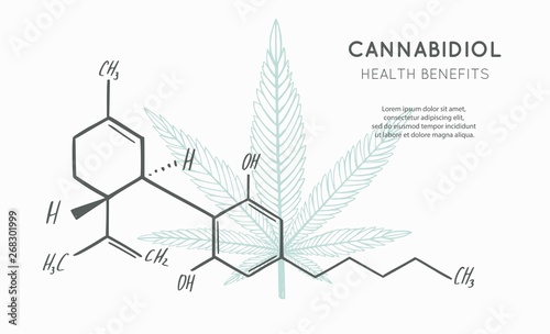 Vector background, banner, poster with CBD formula. Cannabis leaf in medecine concept. Health benefits of Marijuana