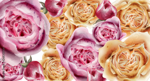 Colorful roses background Vector watercolor. Purple and orange decor florals