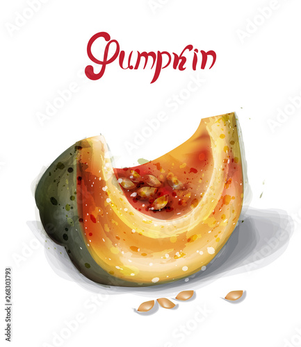 Pumpkin slice Vector watercolor. Juicy yellow fruit detailed illustrations