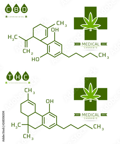 Thc and cbd of Cannabis molecule formula vector illustration