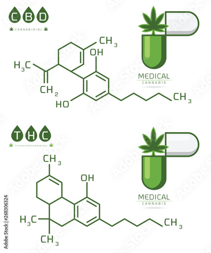 Thc and cbd of Cannabis molecule formula vector illustration