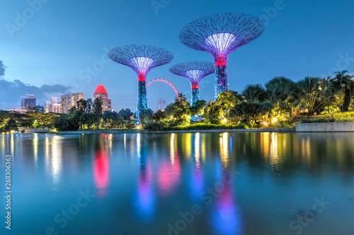 Singapore- Gardens by the Bay. Night  view of the light tree show in Singapore