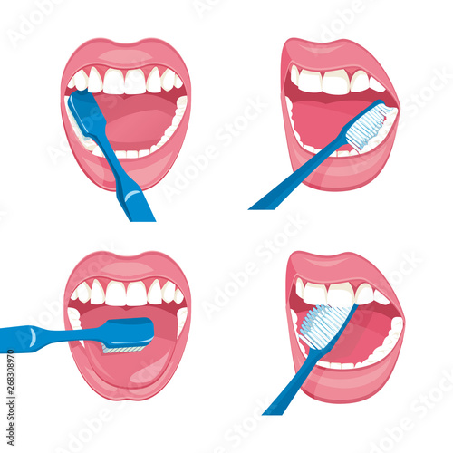  Set of Vector mouth on a white background . brushing teeth blue brush. instructions how to properly care for the oral cavity.  healthy strong , white teeth.  health care , daily hygiene.  Pink lips