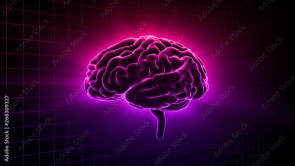 Brain head mind image background. Brain head mind image background.