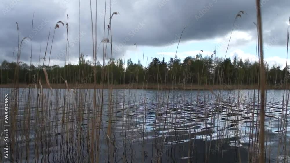 Lake in the rain with gray clouds. Lake in the rain with gray clouds.