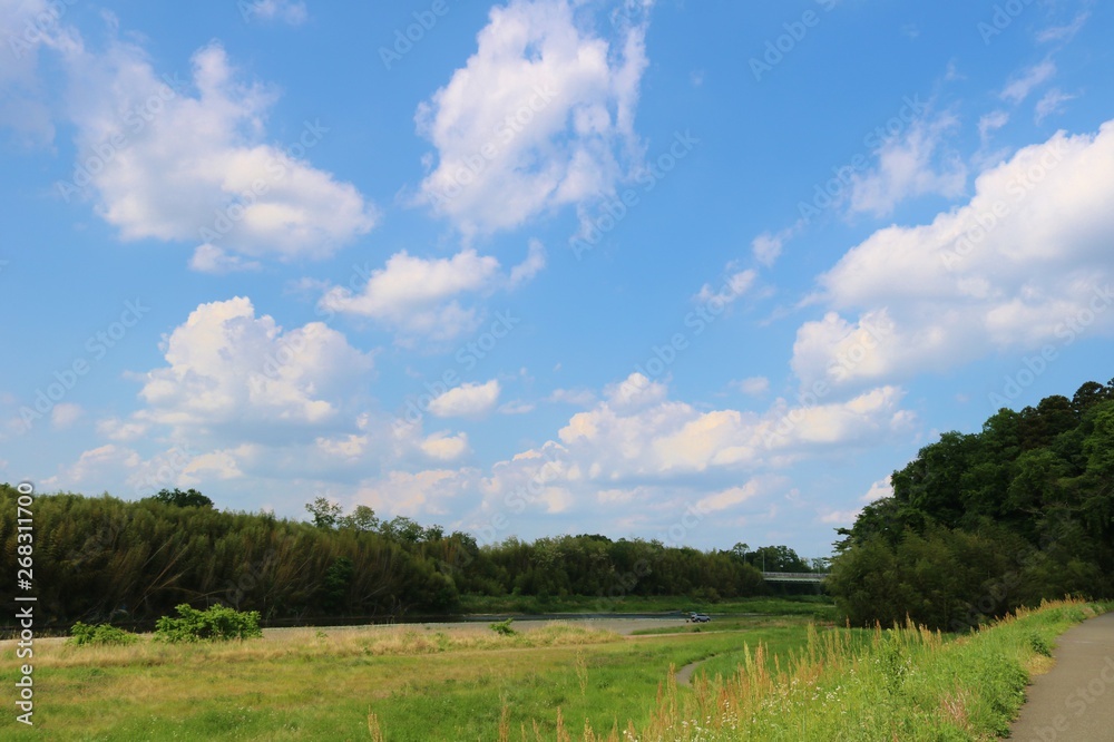 風景　緑　空　雲　春　杤木