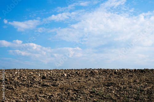 Plowed field isolated in the morning sun in Ukraine. Copy space.