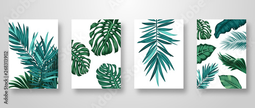 Set Invitation Card Leaves Background
