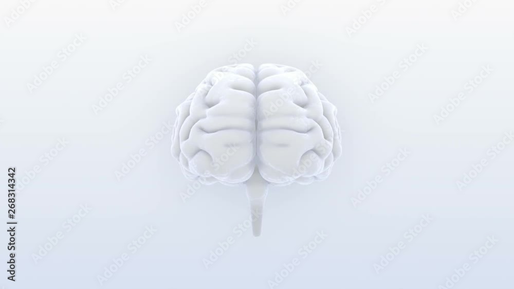 Brain head mind image background. Brain head mind image background.
