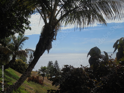 Paesaggio tropicale con il mare