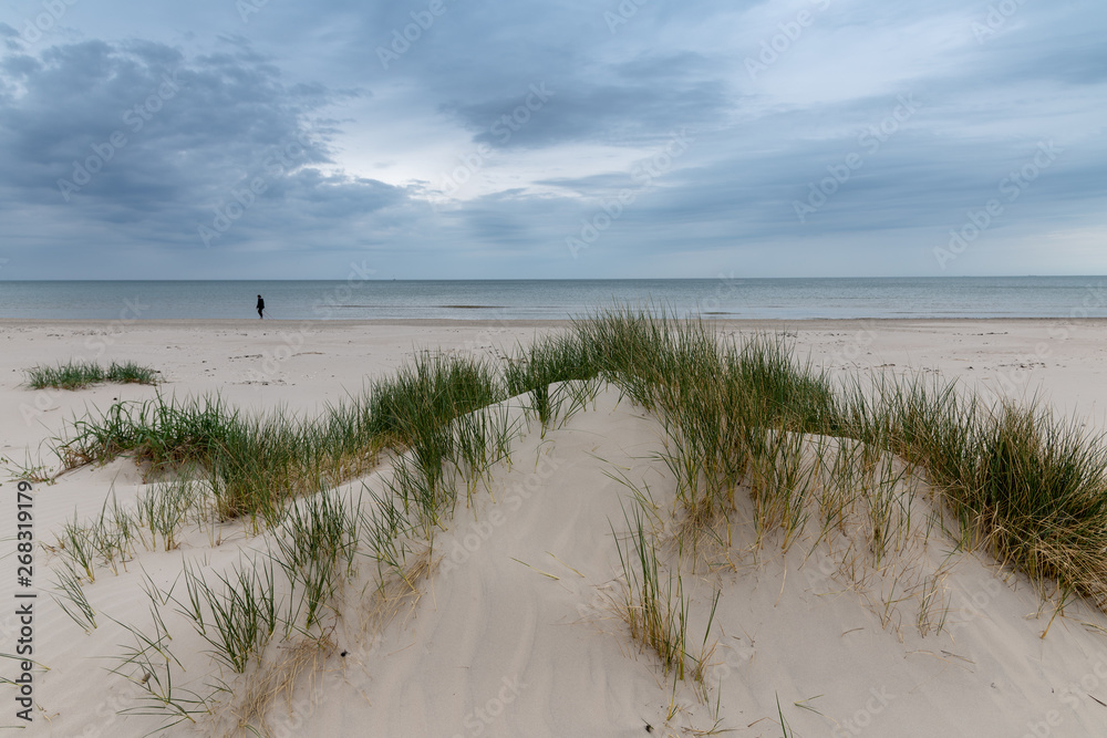 Walker at Baltic sea in cloudy day. Walker at Baltic sea in cloudy day.