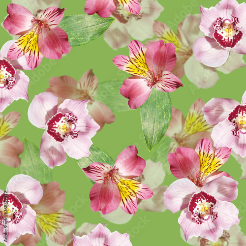 Beautiful floral background of alstroemeria and orchids. Isolated 