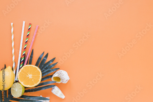 Citrus fruits with straws, palm leaf and shells