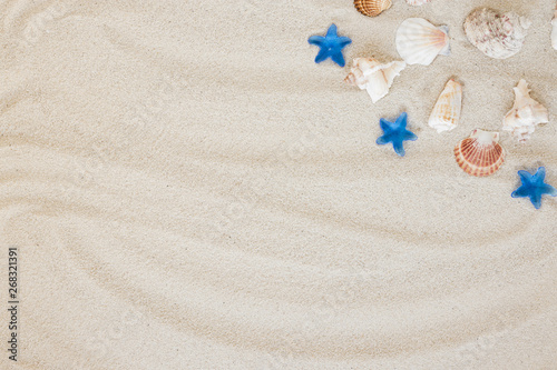 Different sea shells on sand