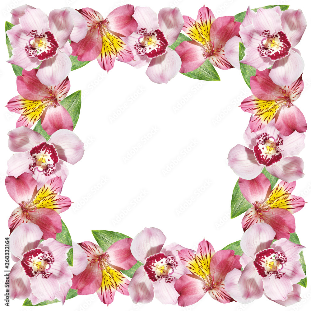 Beautiful floral pattern of alstroemeria and orchids. Isolated