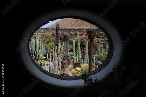 jardin de cactus © Jacky Jeannet