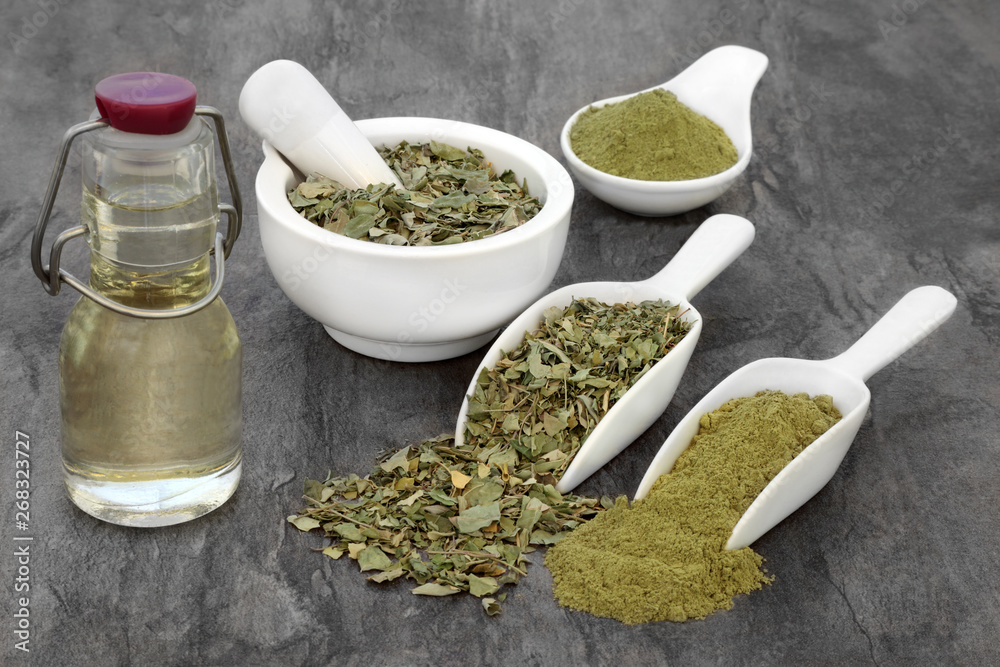 Moringa oliefera herb leaf, oil and powder Used to treat anaemia, rheumatism, cancer, diarrhoea, diabetes, constipation, weight loss, benefits the skin & hair and has many other health benefits. Moringa oliefera herb leaf, oil and powder Used to treat anaemia, rheumatism, cancer, diarrhoea, diabetes, constipation, weight loss, benefits the skin & hair and has many other health benefits.