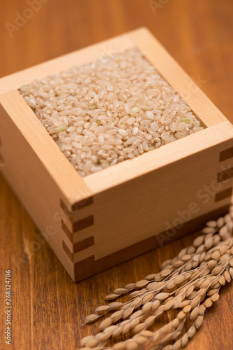 玄米と稲穂