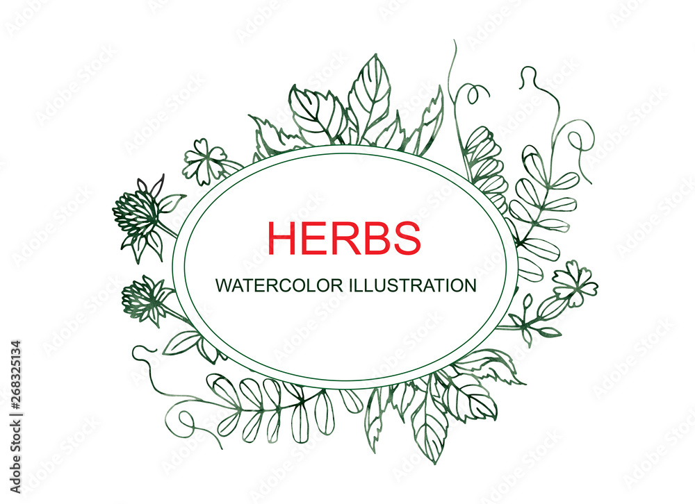 Watercolor illustration. Oval frame with meadow herbs. In the center is a place for your text. Watercolor illustration. Oval frame with meadow herbs. In the center is a place for your text.