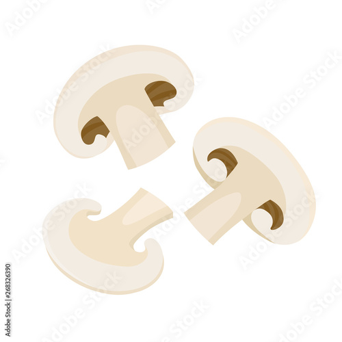 Cartoon vector icon illustration of mushroom champignon isolated on white