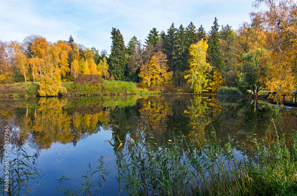 Lake in autumn park. Lake in autumn park.
