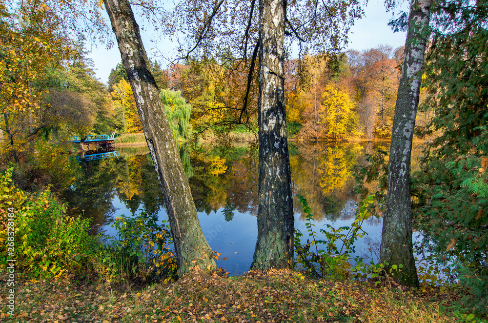 Autumn landscape in park with lake.
