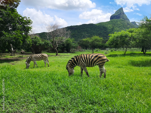 mauritius