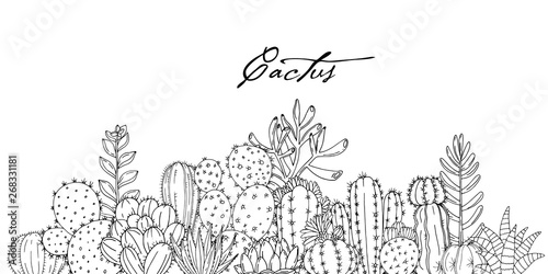 Poster with ornament hand drawn lettering, cacti and succulents on white background.