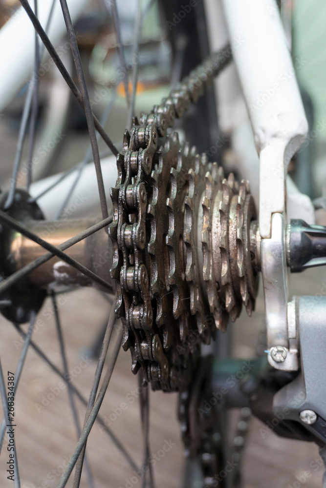 Fototapeta premium The view of the chain machine