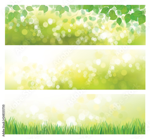 Vector  green nature banners. Green leaves  and  grass  on green  bokeh  background.