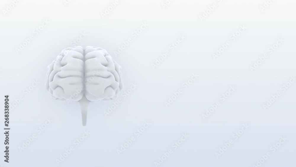 Brain head mind image background. Brain head mind image background.