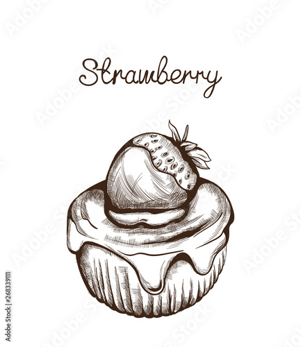 Cupcake line art Vector. Delicious dessert illustration isolated on whites