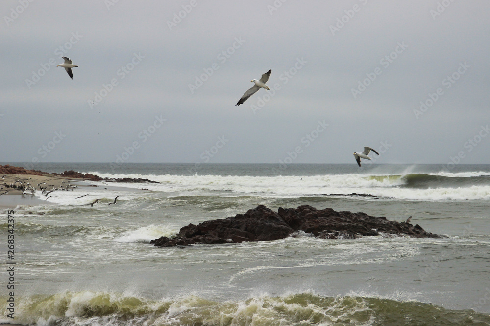 Strong waves on the coast of the Atlantic Ocean in Namibia and sea gulls soaring above the water.