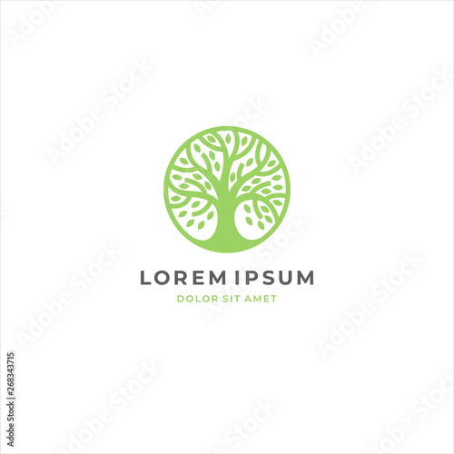Abstract round tree logo icon. Universal creative premium solid floral leaf symbol. Cosmetic and spa. Vector circle life tree icon sign.