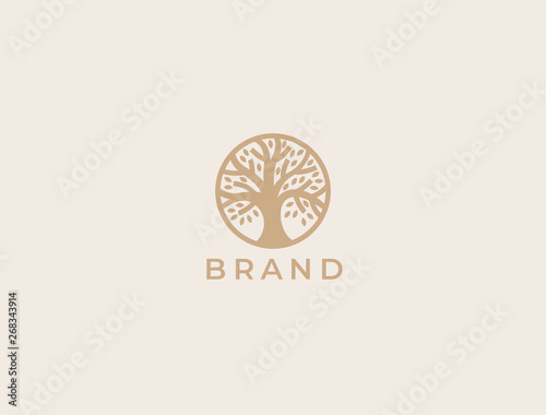 Abstract round tree logo icon. Universal creative premium solid floral leaf symbol. Cosmetic and spa. Vector circle life tree icon sign.