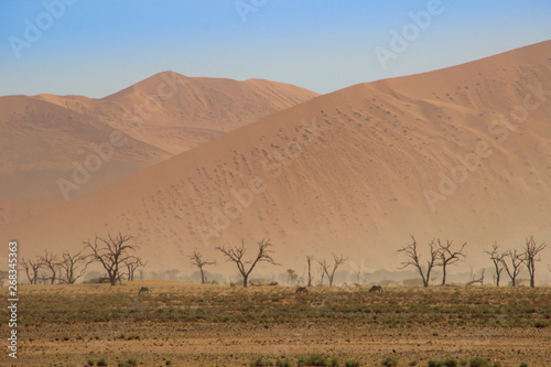 Deserted dry orange landscape of Namibia and grazing herd of antelope in the background