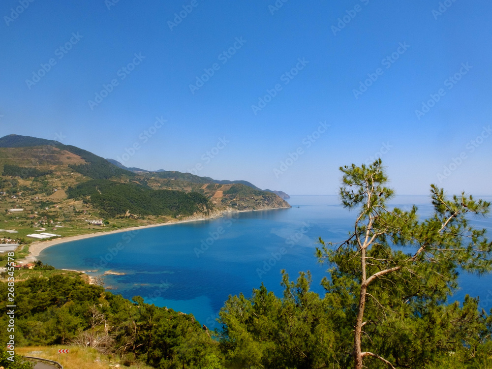 Beautiful picturesque bay at Mediterranean sea, clear sky and pine trees on the rocky slopes in the sunny afternoon