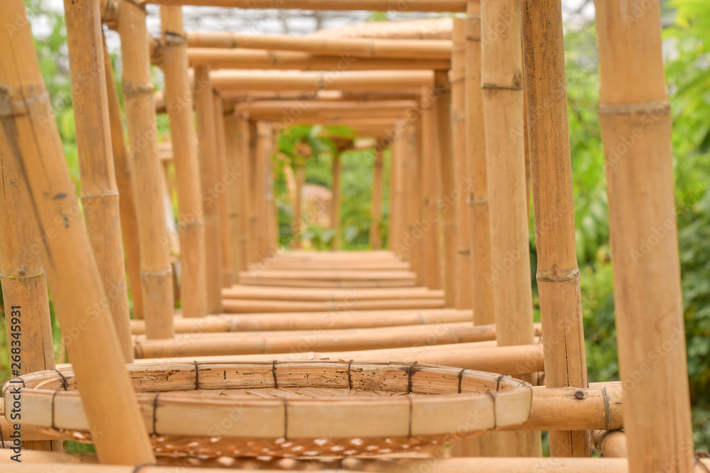 Bamboo tunnel frame, beautiful tunnel frame on garden. tunnel invention from nature material Bamboo tunnel frame, beautiful tunnel frame on garden. tunnel invention from nature material