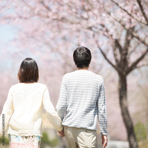 桜の前で手をつなぐカップルの後姿