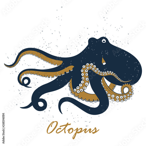 Octopus hand drawing vector illustration on white backgroud.