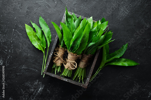 Fresh wild garlic leaves in a wooden box. Wild leek. Top view. Free space for your text.