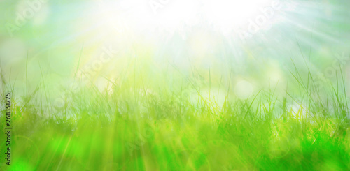 natur gras texturen banner bokeh