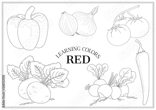Learning colors - red. Coloring book page for preschool children with outlines of vegetables: bell pepper, chili pepper, red onion, tomatoes, beet, radish. Vector illustration for kids education.