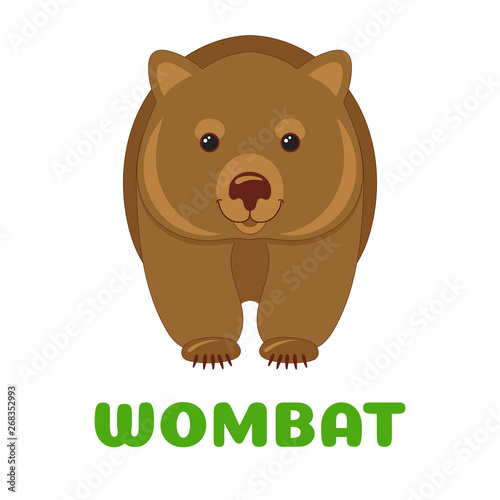Wombat flashcard. Australian animal. Vector illustration for kids education and child reading skills development. Sight Words Flash Cards For children to learn read and spell.
