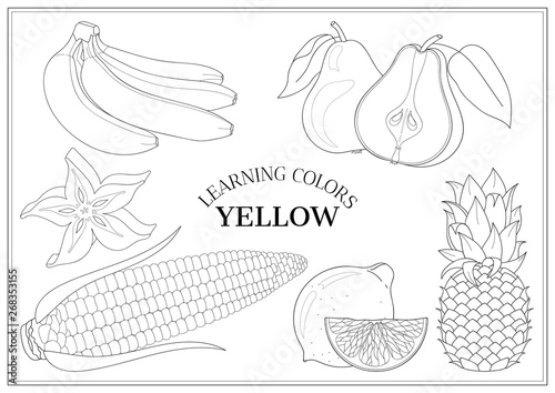 Learning colors - yellow. Coloring book page for preschool children with outlines of: bananas, pears, pineapple,lemon, corn, carambola. Vector illustration for kids education and child development.