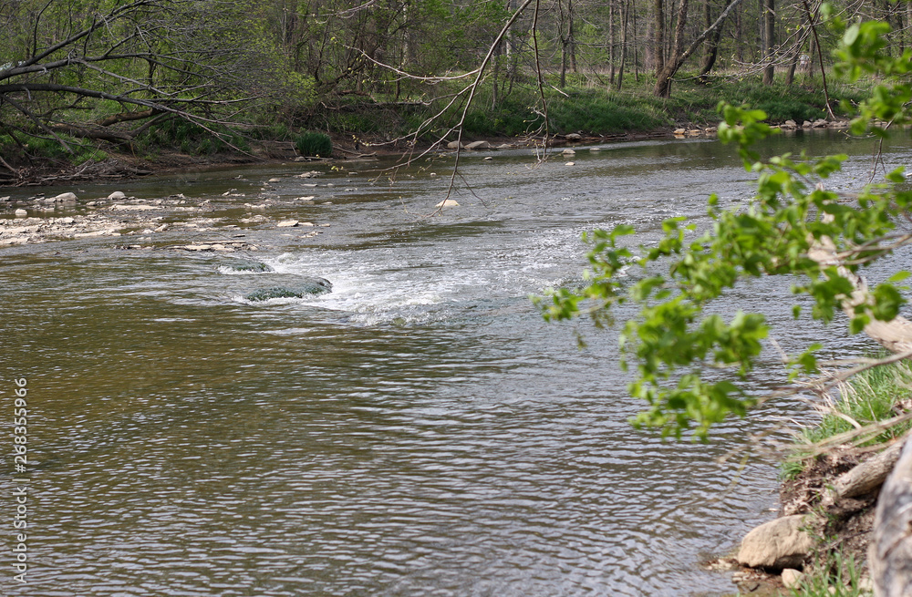 river in forest of Cleveland Metro Parks