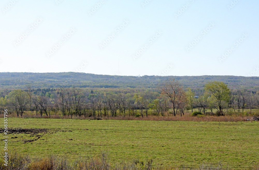 landscape with trees and blue sky in New York