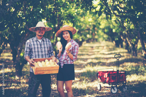 Young smart farmer, mordern...