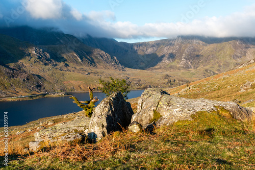 Rocks and tree in mountains